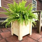 Beginner Woodworking with Tom Parmelee: Planter