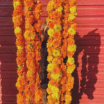 Marigold Garland with Spore and Seed: $80 (includes $40 material fee)