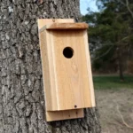 Build a Cedar Picket Eastern Bluebird House with Tom Parmelee