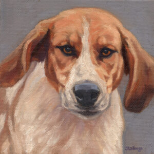 Judy Lalingo Hound Energy.jpg