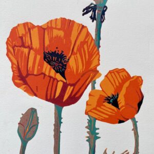 Pam Adkins Poppies.jpeg