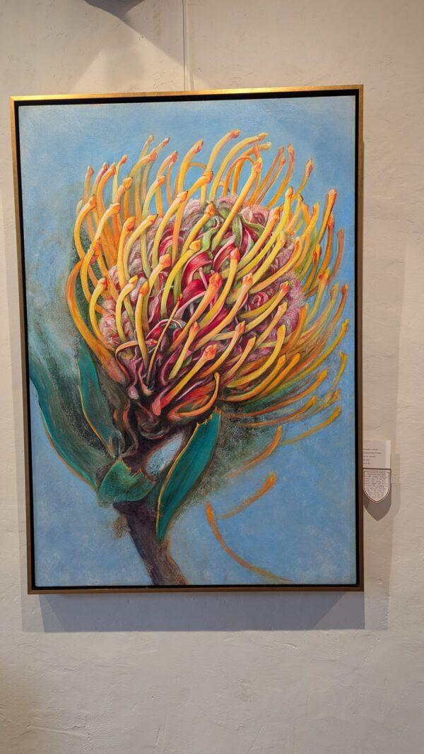 Shapeshifter Protea - Image 2