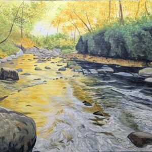 The Savage River