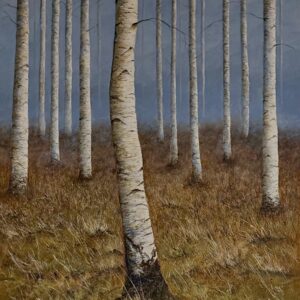 Birch Grove