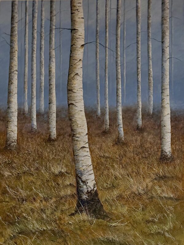 Birch Grove