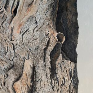 Portrait of a Tree