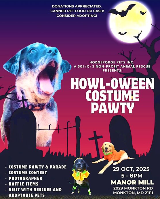 Howl-Oween Costume Pawty with Hodgepodge Pets Inc.