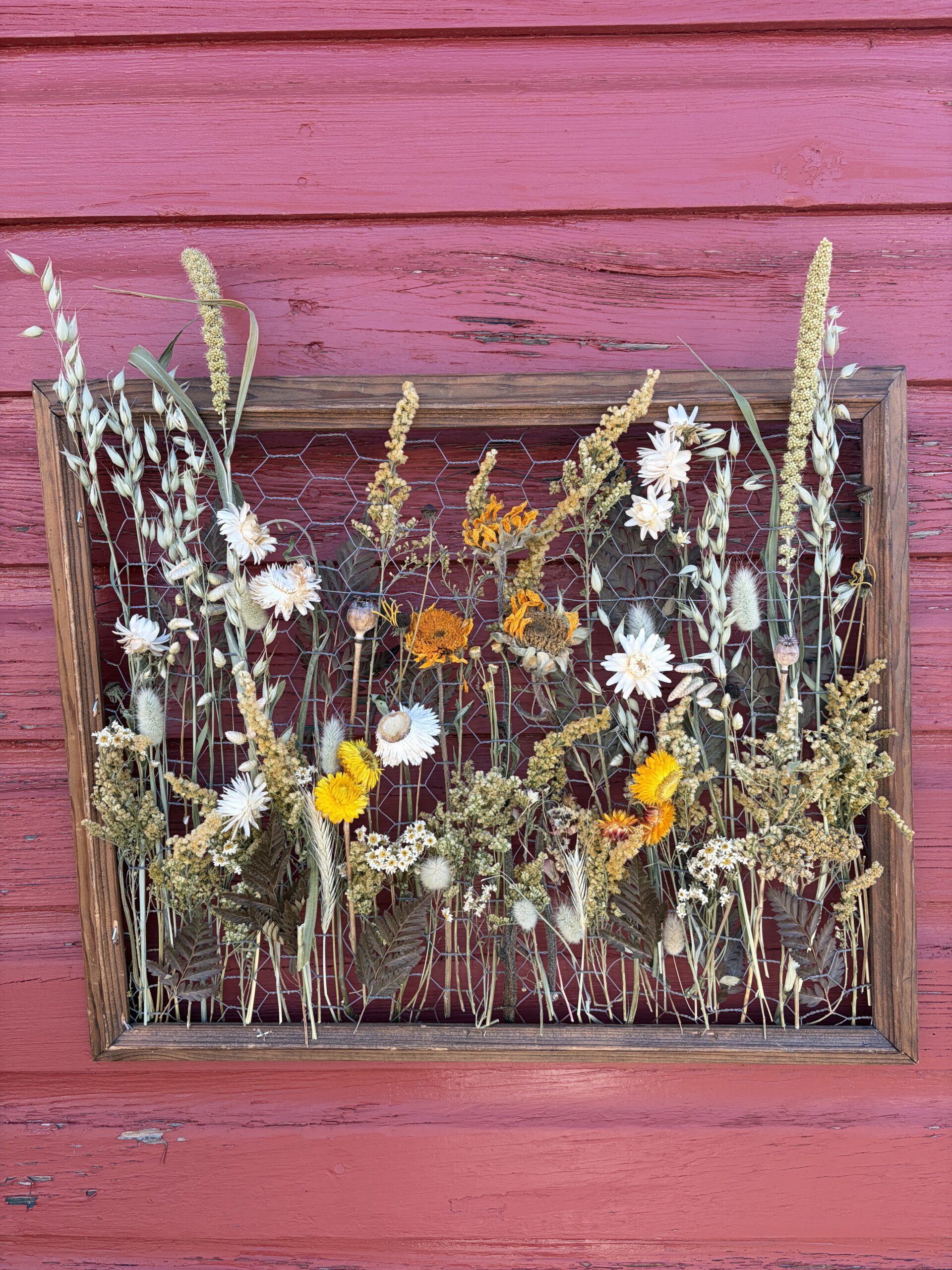 Dried flower panels with Spore and Seed